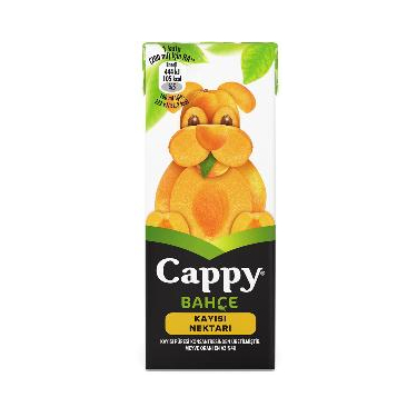 Cappy Bahçe Kayısılı Meyve Suyu Karton Kutu 200 ml