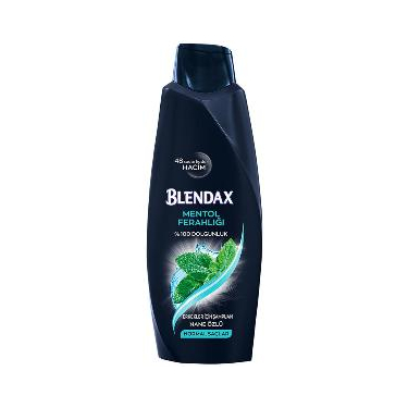 Blendax Erkekler İçin Mentollü Şampuan 500 ml