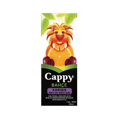 Cappy Karışık 200 ml